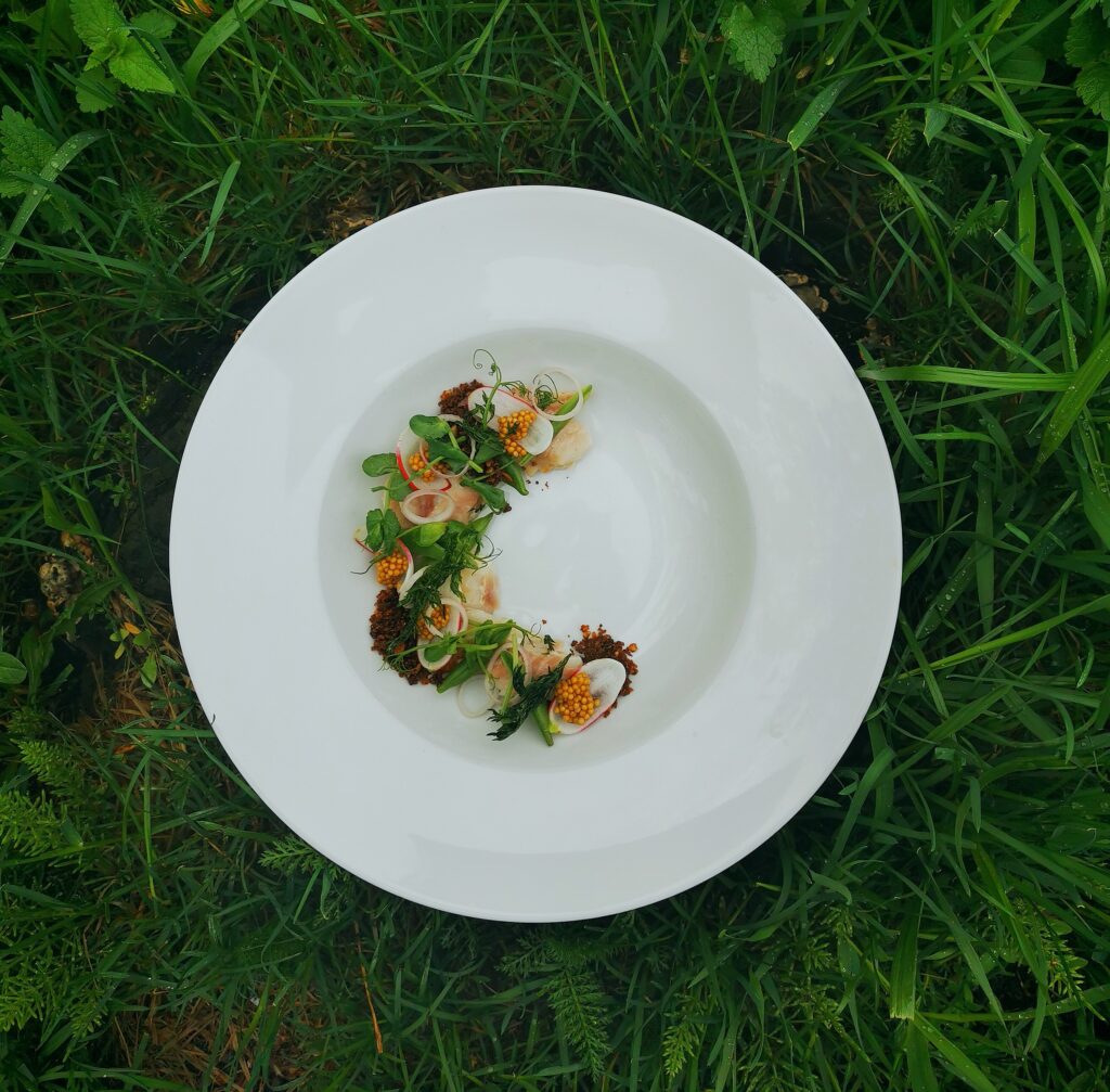 Ravintola Huvilan kauniisti asteltu ruoka-annos valkoisella lautasella, taustalla ruohikkoa.